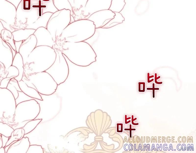 第217页