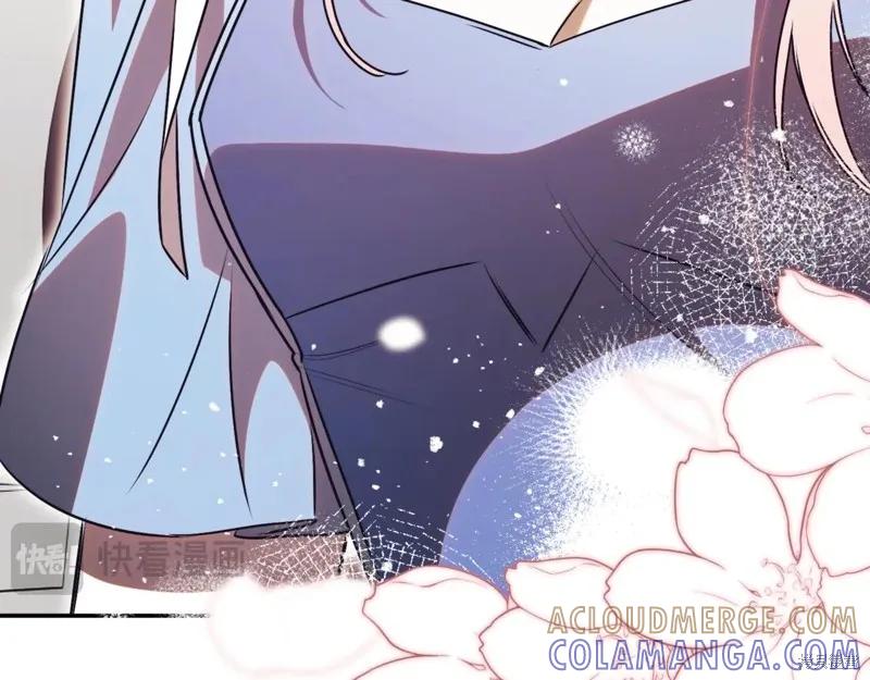 第221页