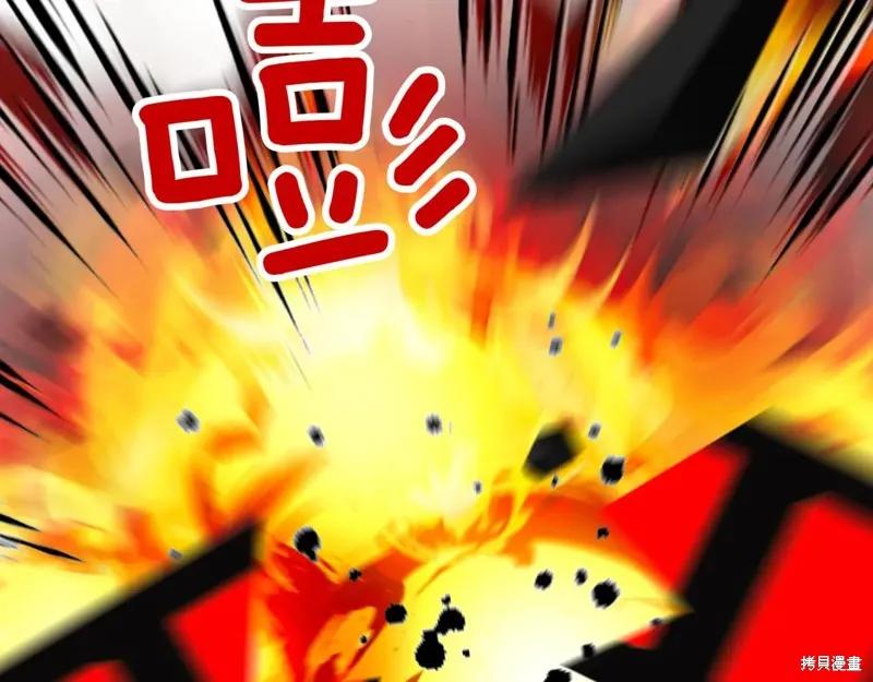第224页