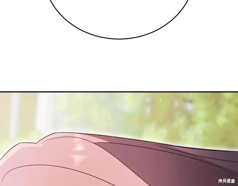 第243页