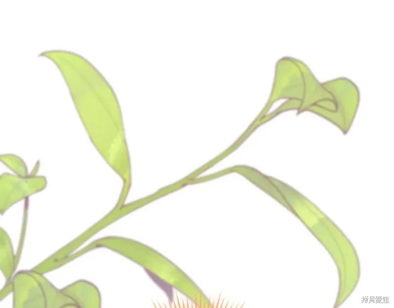 第254页