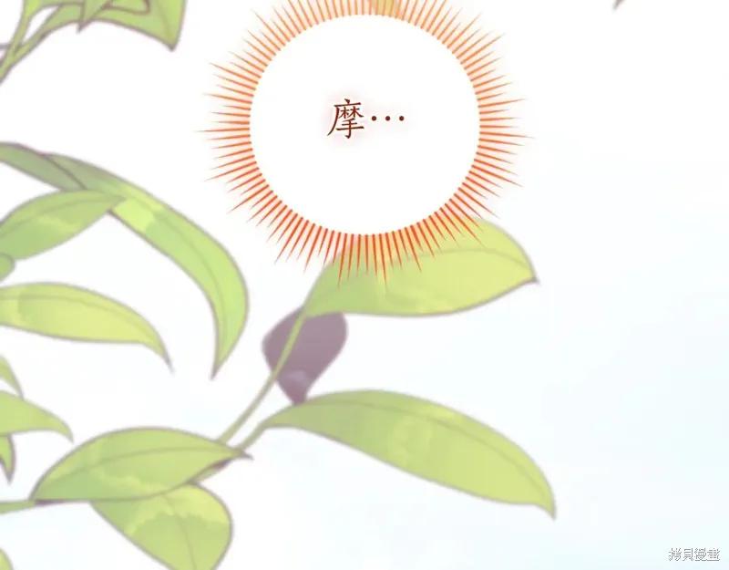 第255页