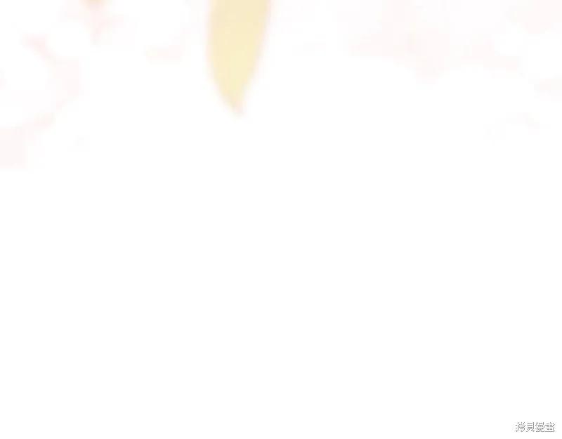 第260页
