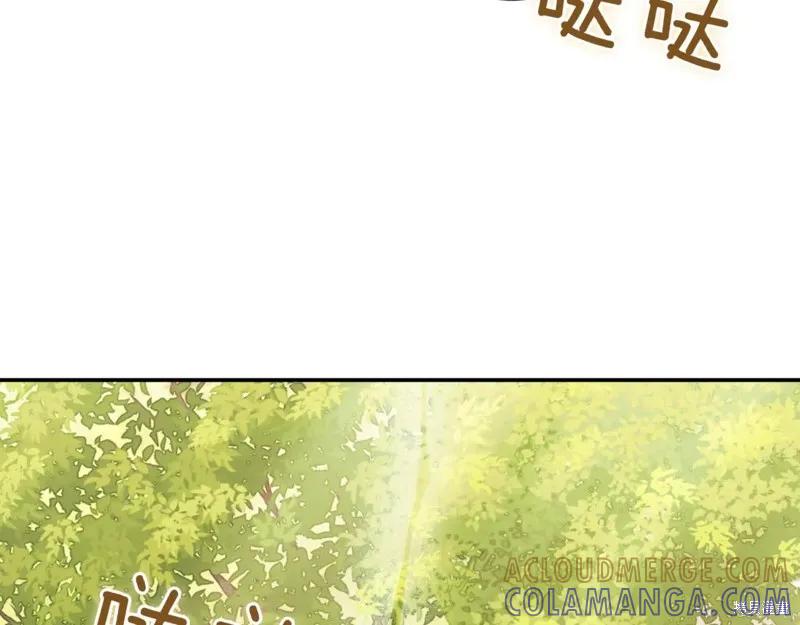 第193页