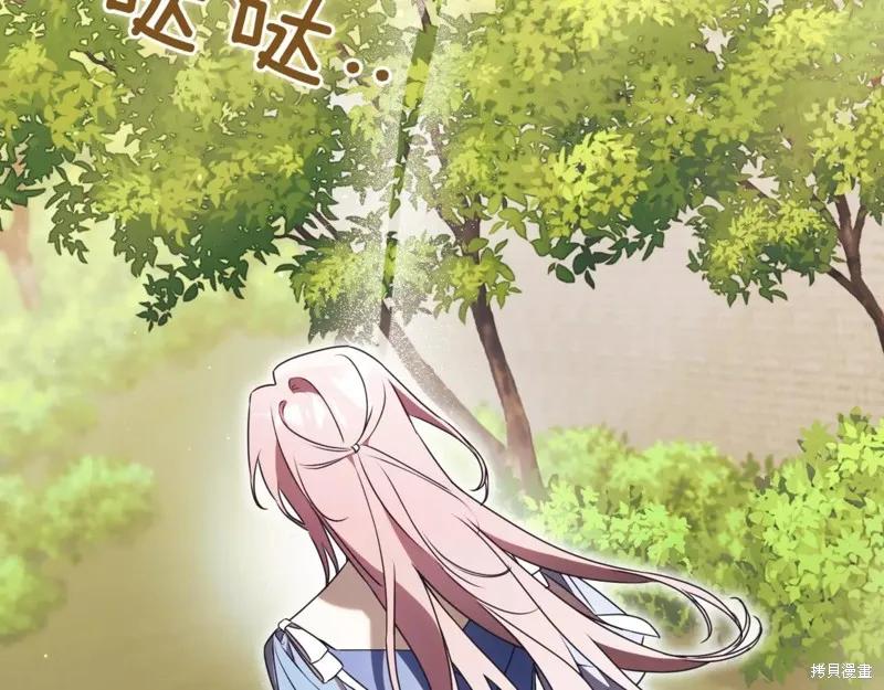 第194页