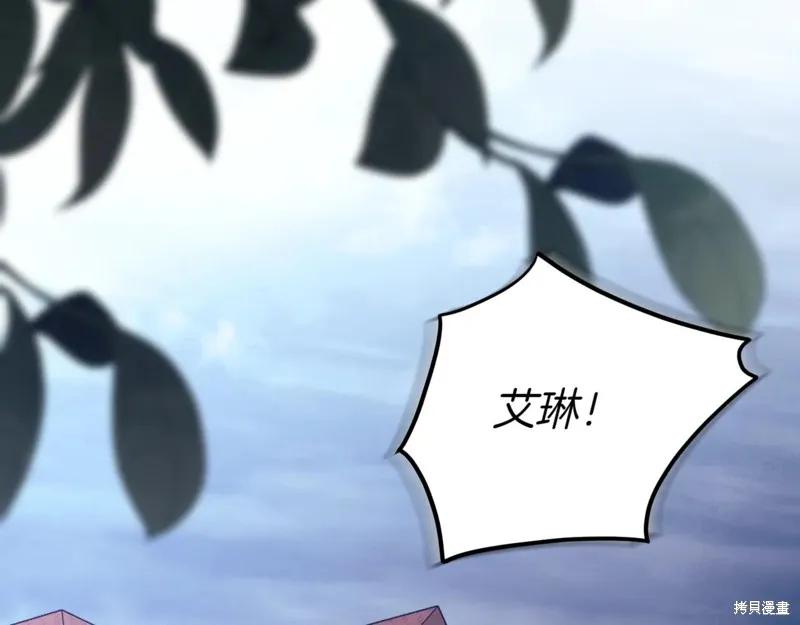 第204页