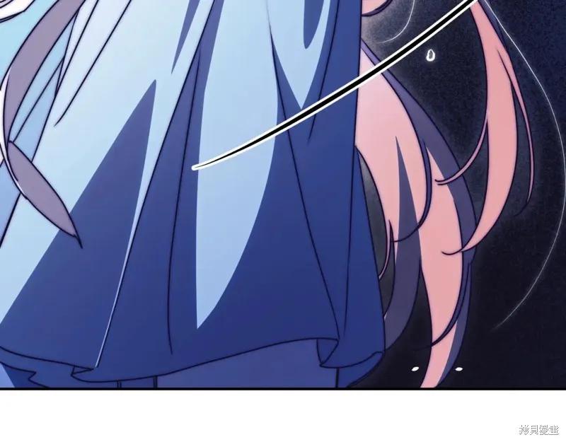 第238页