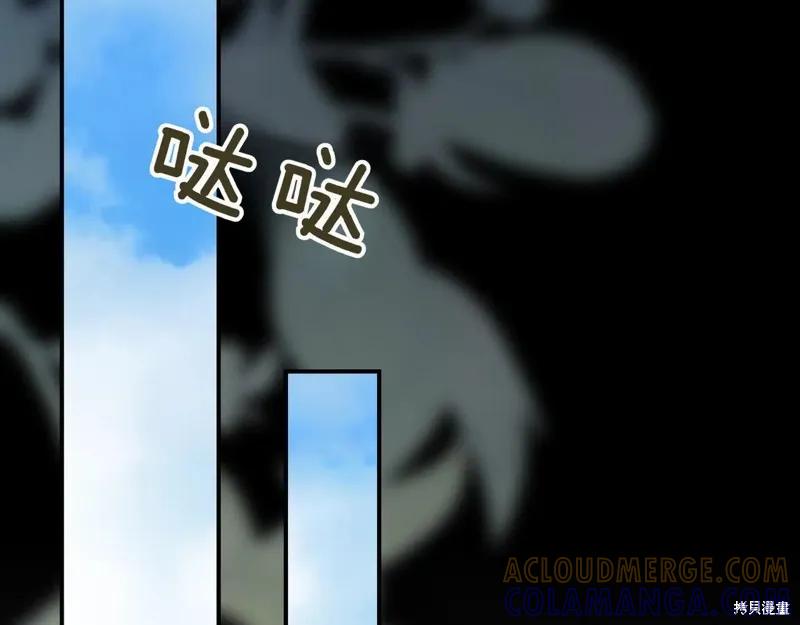 第241页
