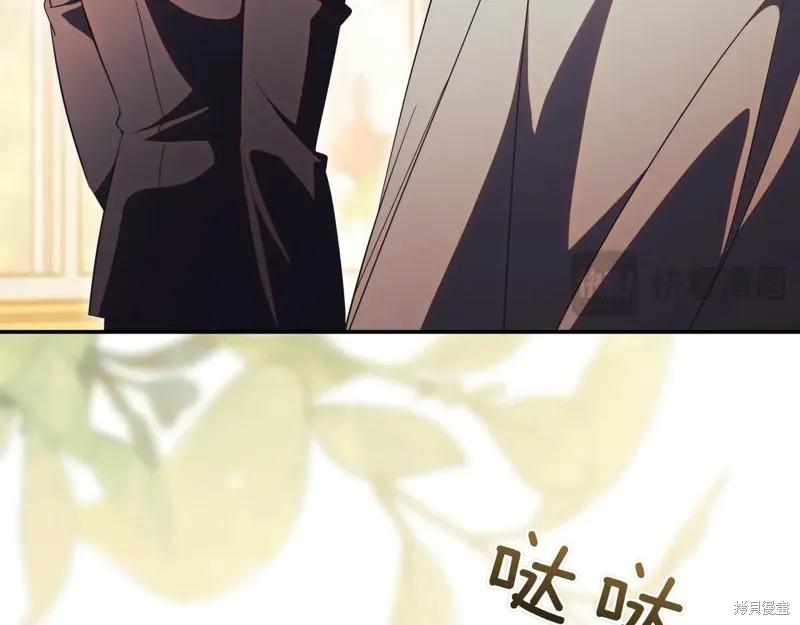 第246页
