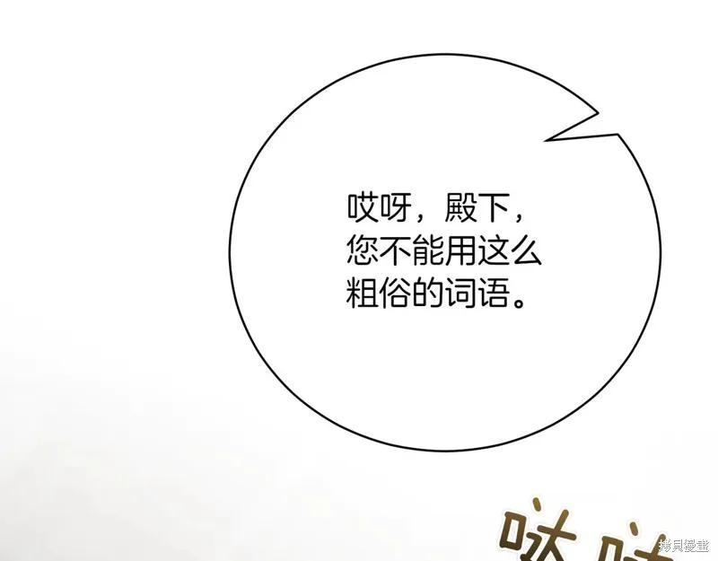 第251页