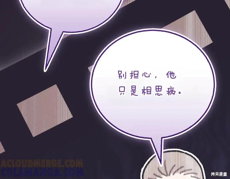 第205页