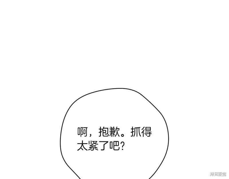 第238页