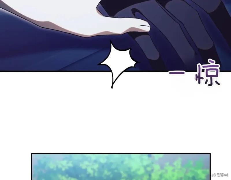 第242页
