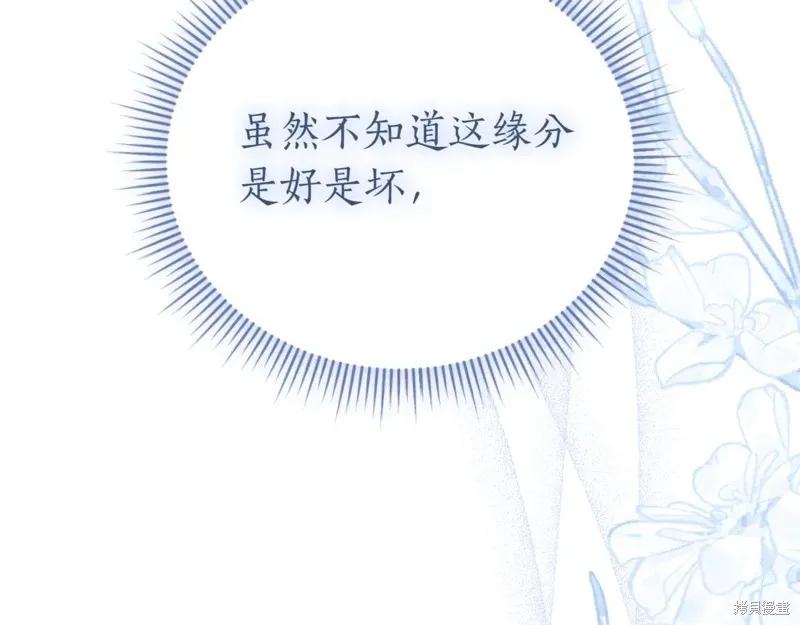 第254页