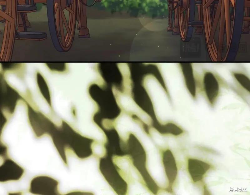 第216页