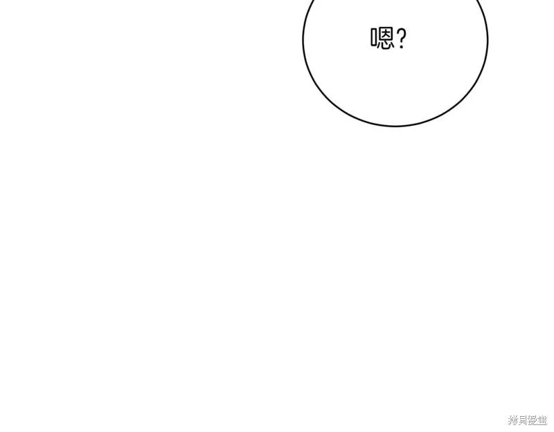 第238页