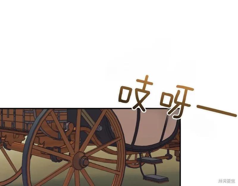 第242页