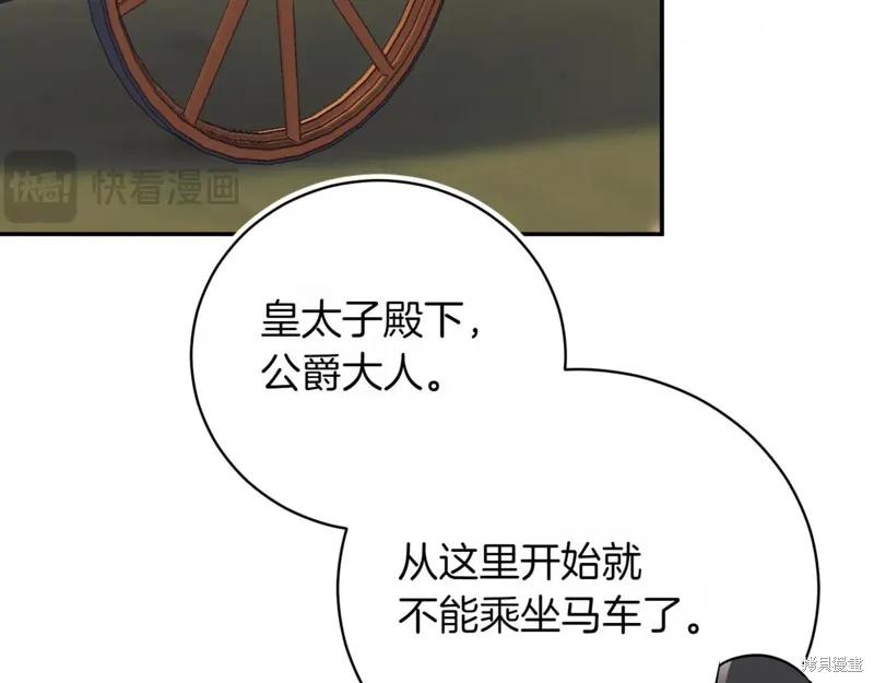 第243页
