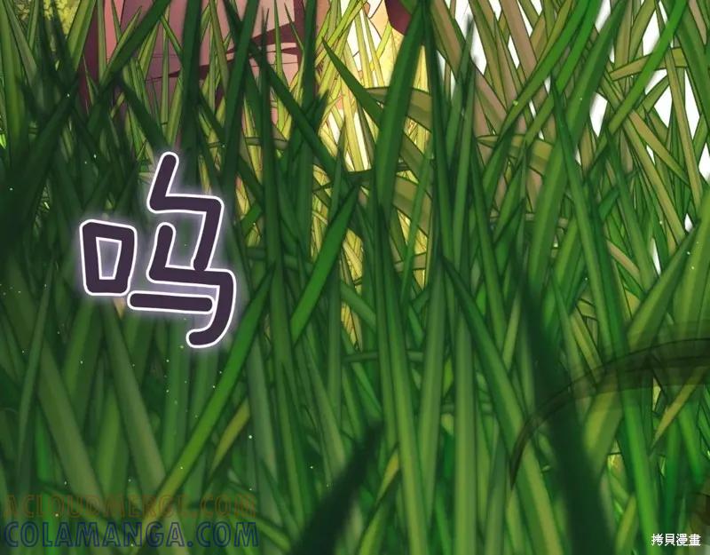 第285页