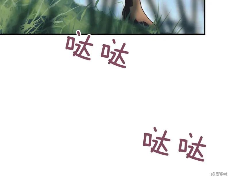 第216页