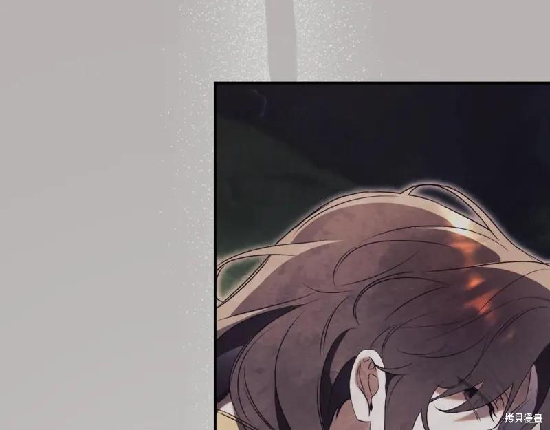 第223页