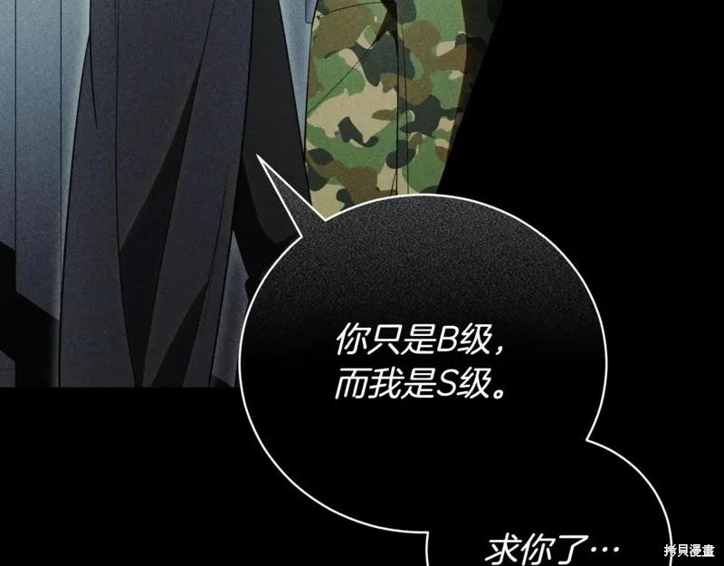 第240页