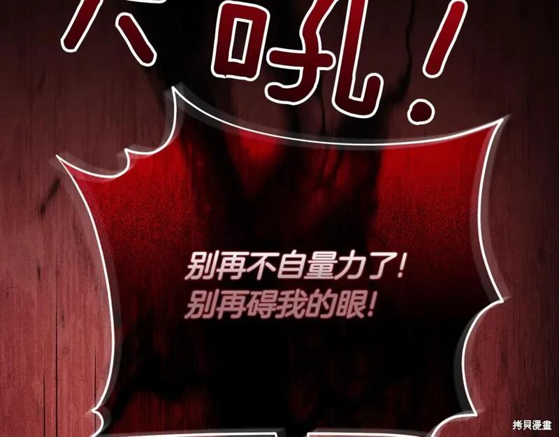 第244页