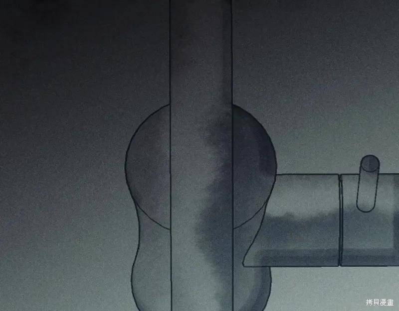 第264页