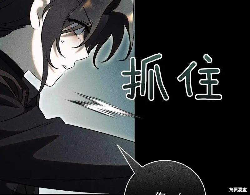 第278页