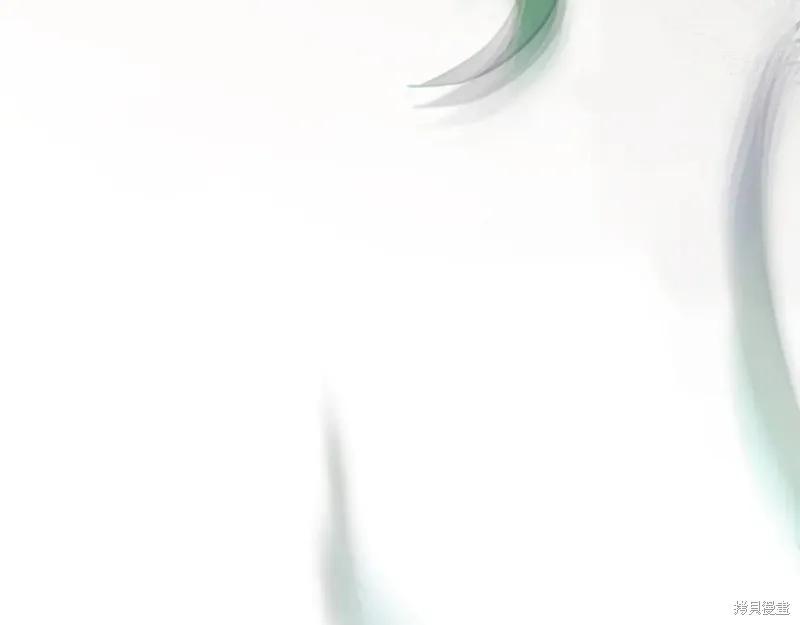第295页