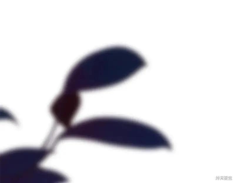 第211页