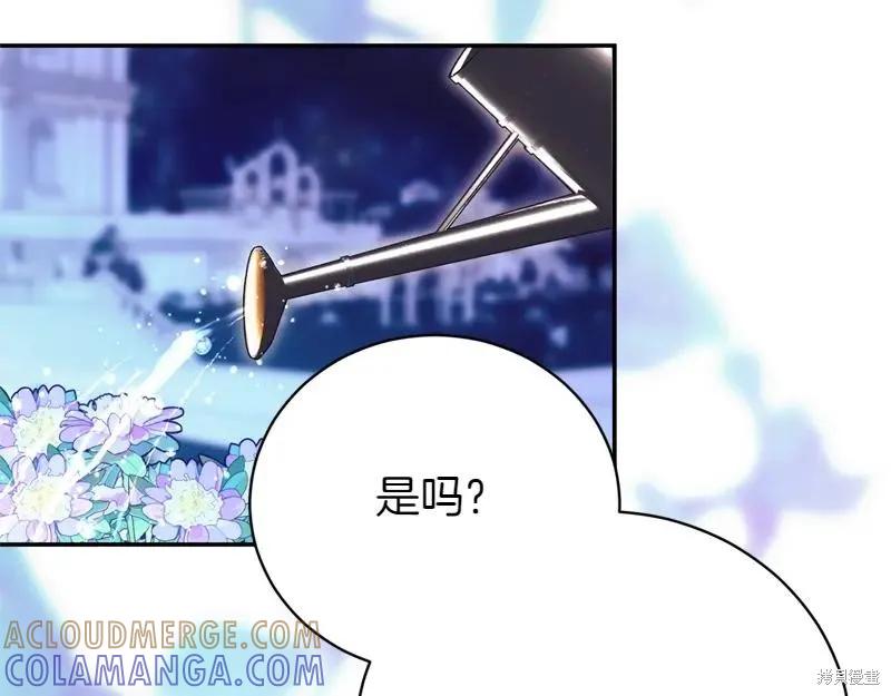 第217页