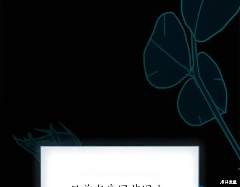 第279页