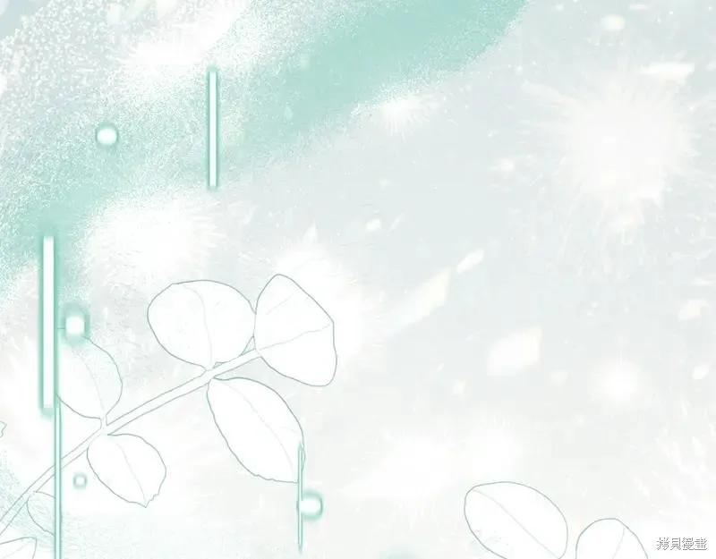 第215页