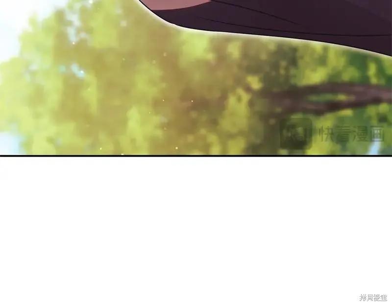 第244页
