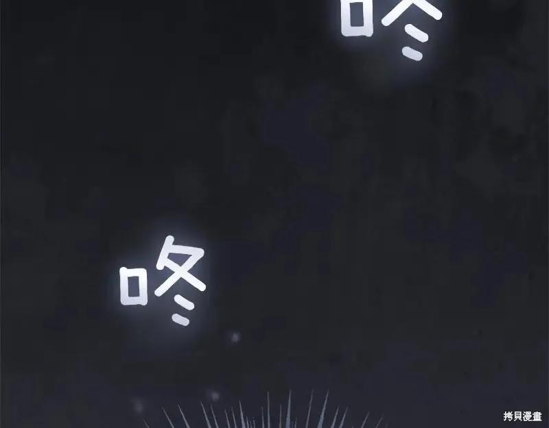 第294页