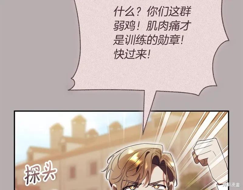 第204页