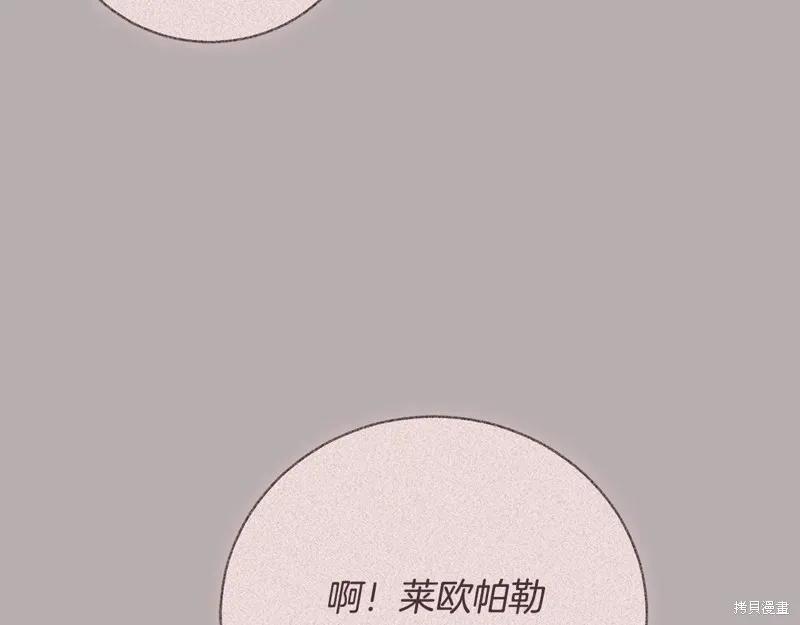 第206页