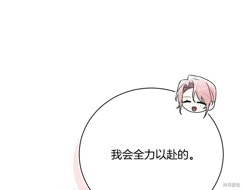 第242页