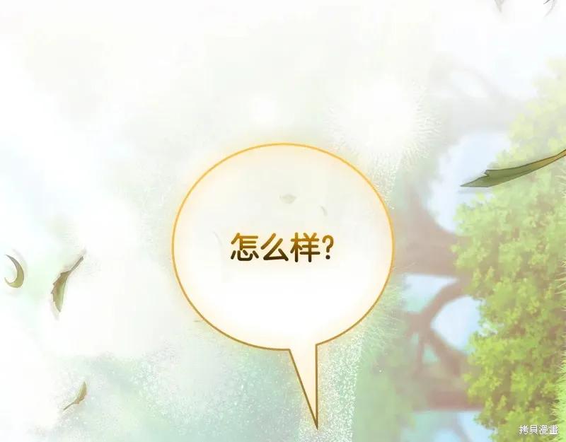第255页