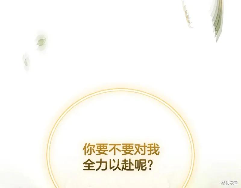第260页