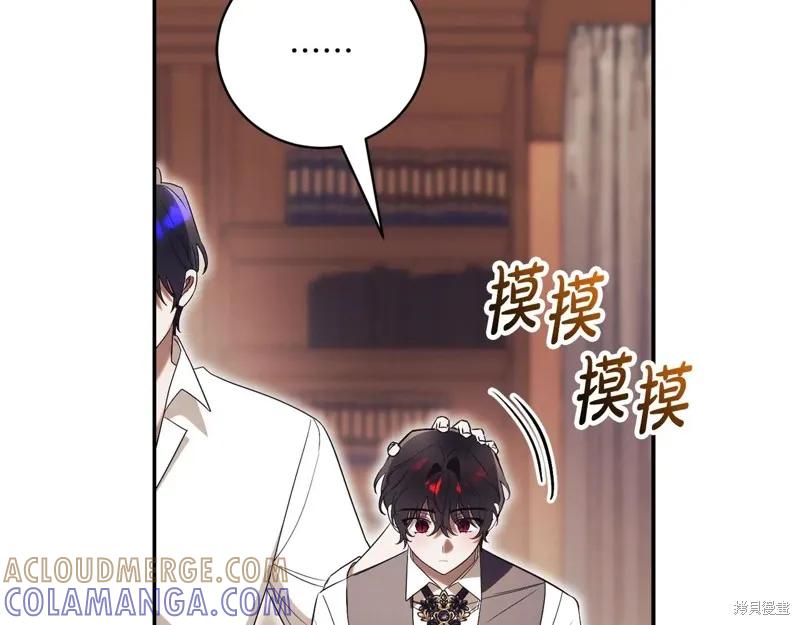 第221页