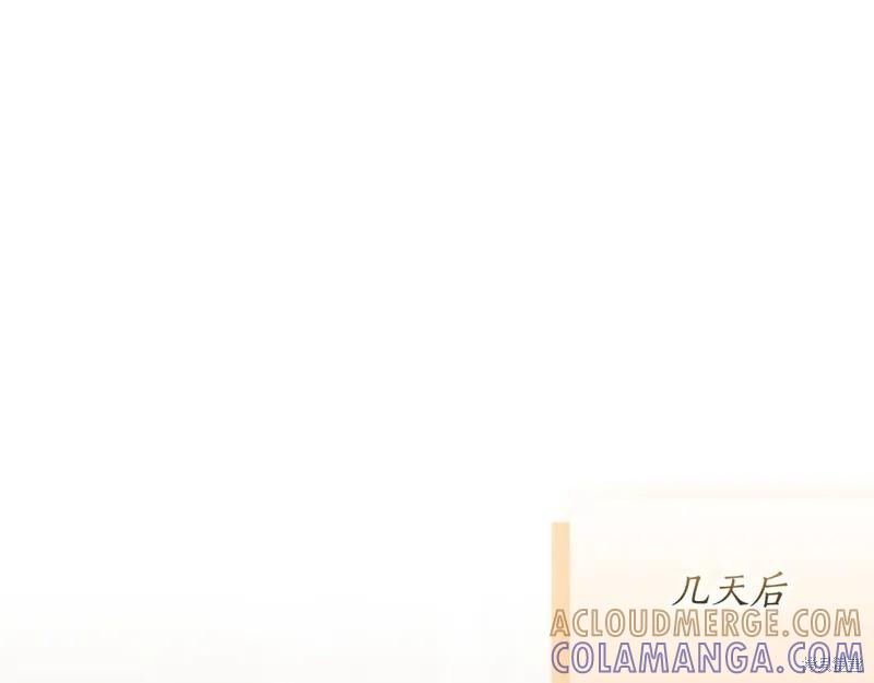 第241页
