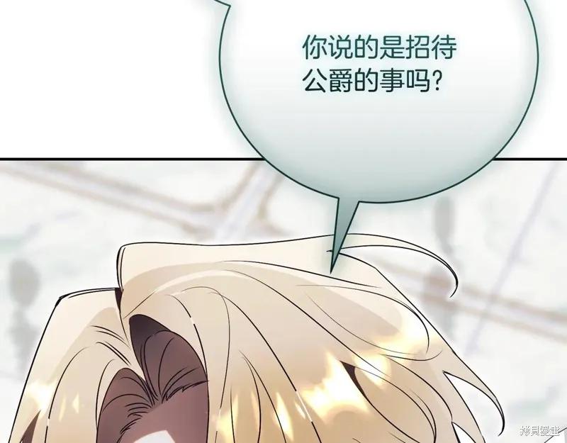 第242页