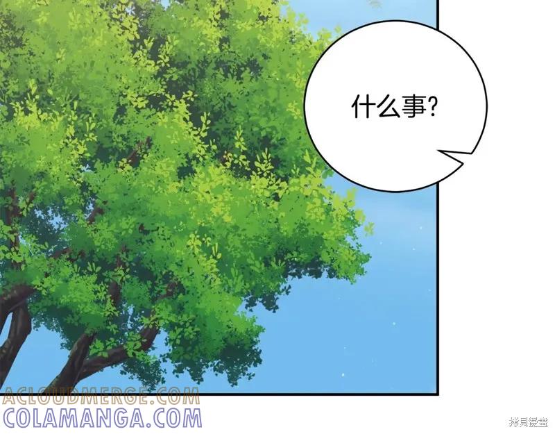 第229页