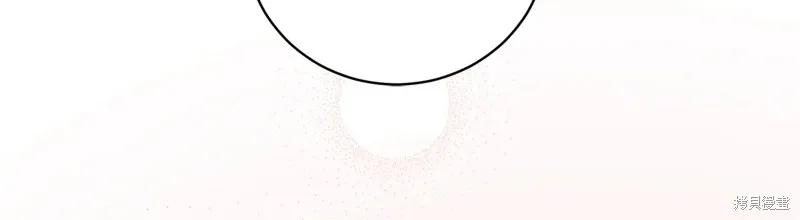 第246页