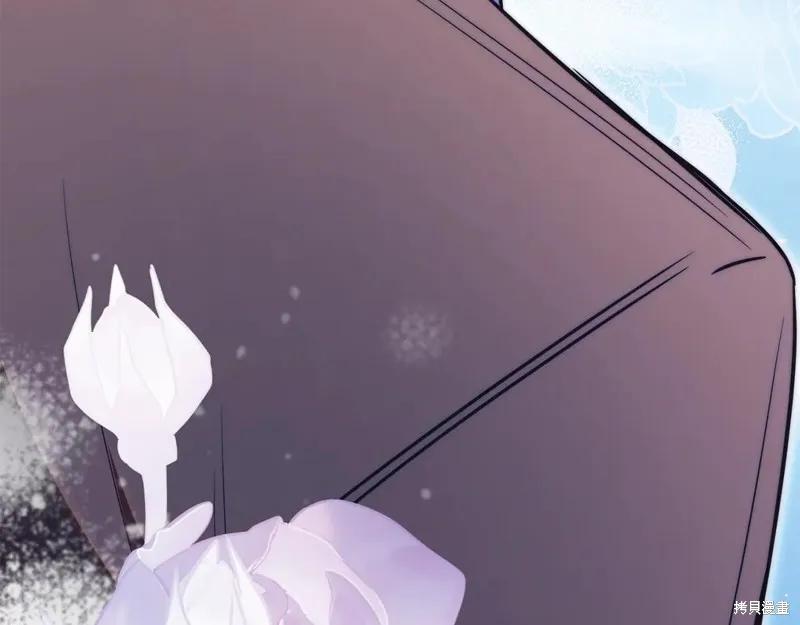 第291页