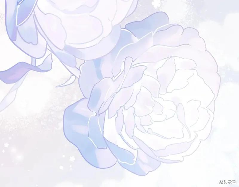 第294页