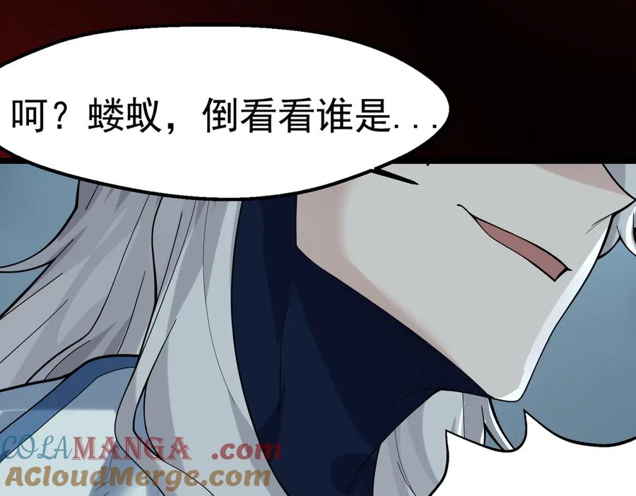 第205页