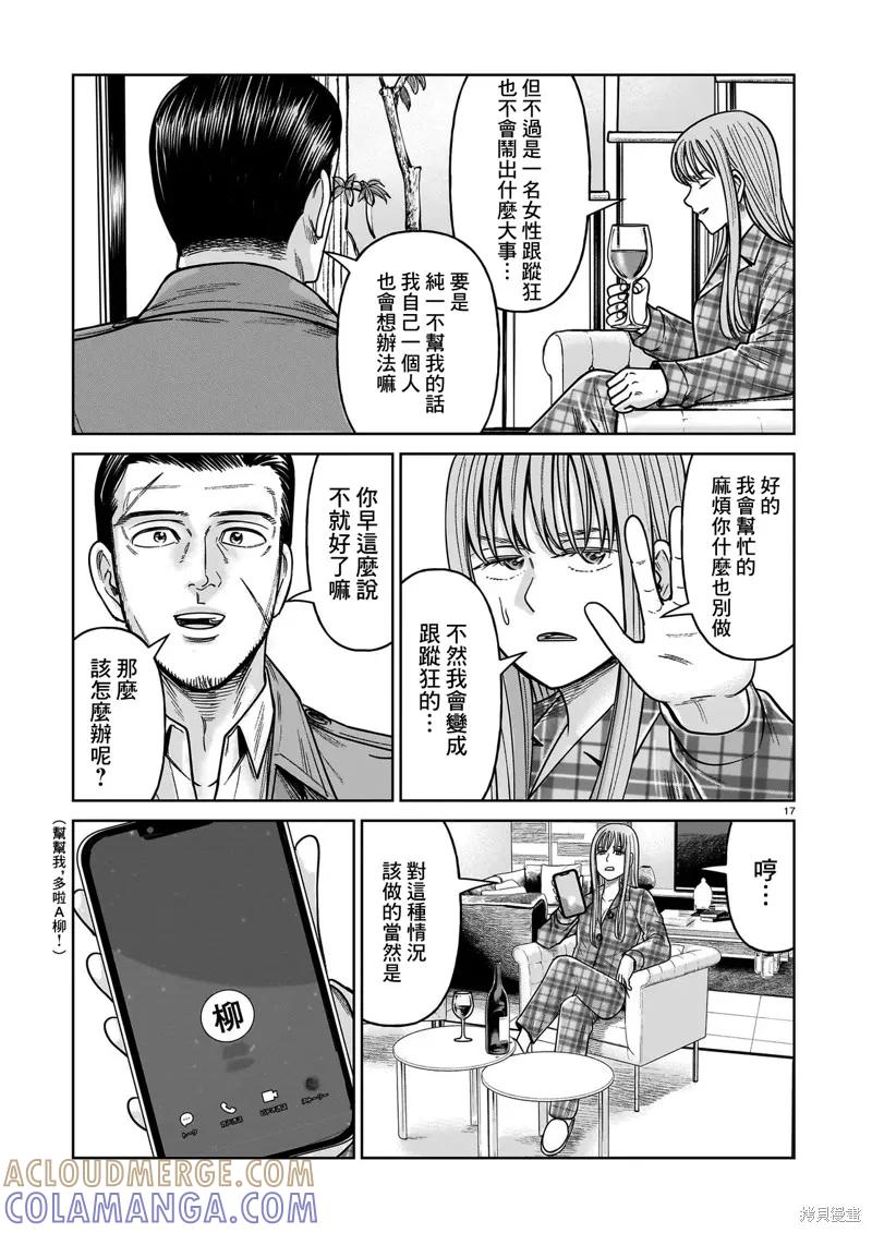 第17页